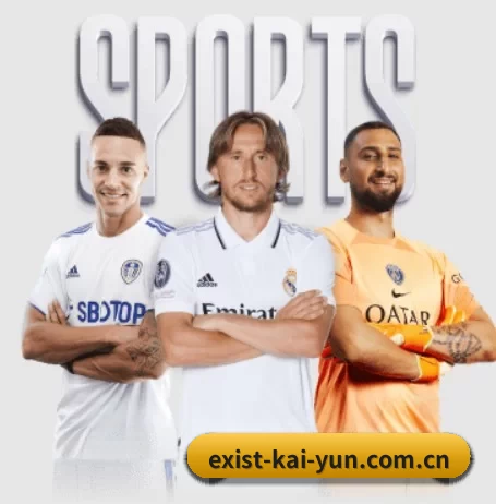 exist-kai-yun.com.cn APP 界面(kaiyun app)