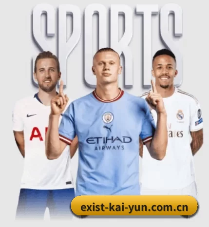 我们在做什么(kaiyun app)
